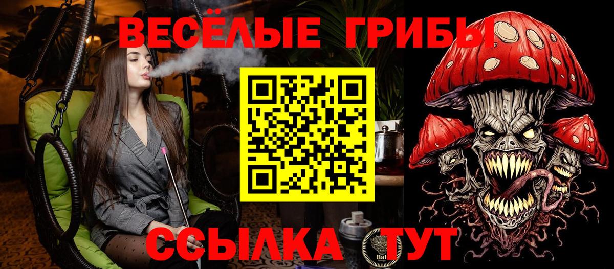 Борзя  Галлюциногенные грибы мицелий  Вход с VPN 