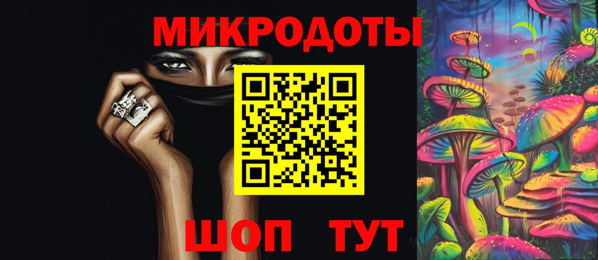 Псилоцибиновые грибы Cubensis Борзя
